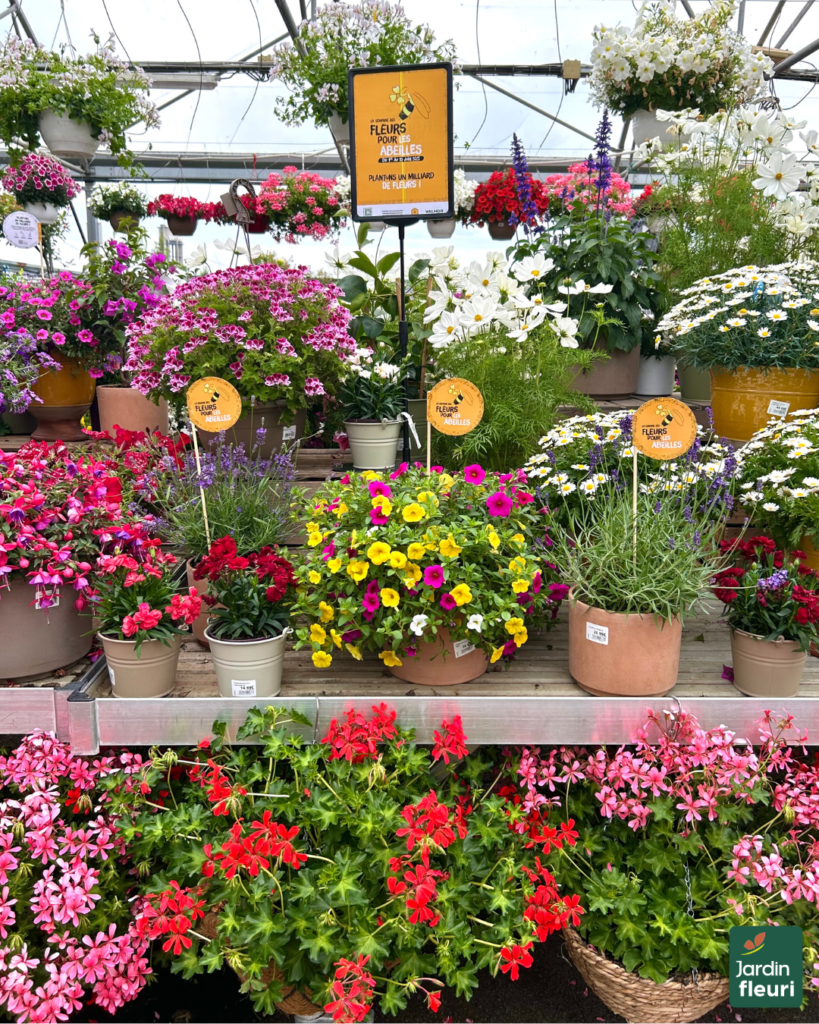 La semaine des fleurs pour les abeilles - Jardineries Jardin Fleuri