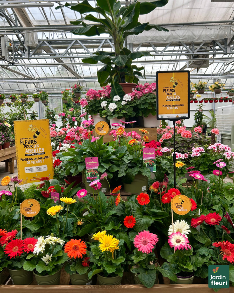 La semaine des fleurs pour les abeilles - Jardineries Jardin Fleuri