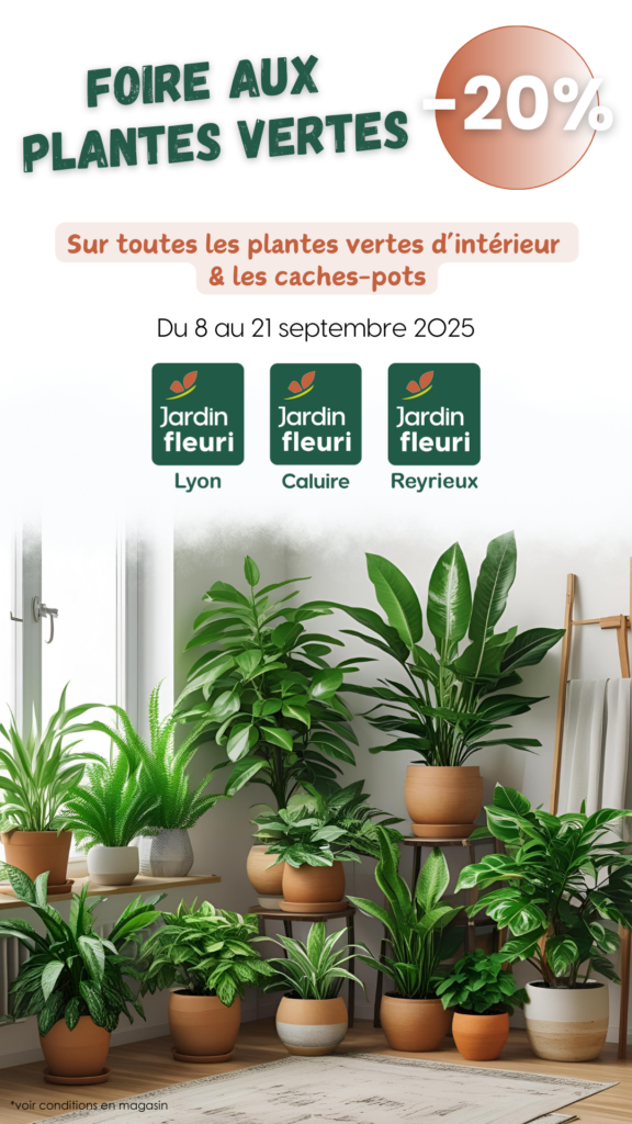 Foire plantes vertes d'intérieur - Caches-pots - Jardin Fleuri Lyon - Caluire - Reyrieux