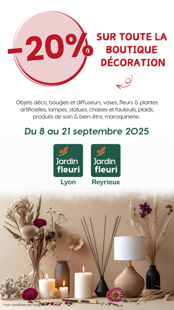 Promotion Boutique décoration - Jardin Fleuri Lyon - Reyrieux