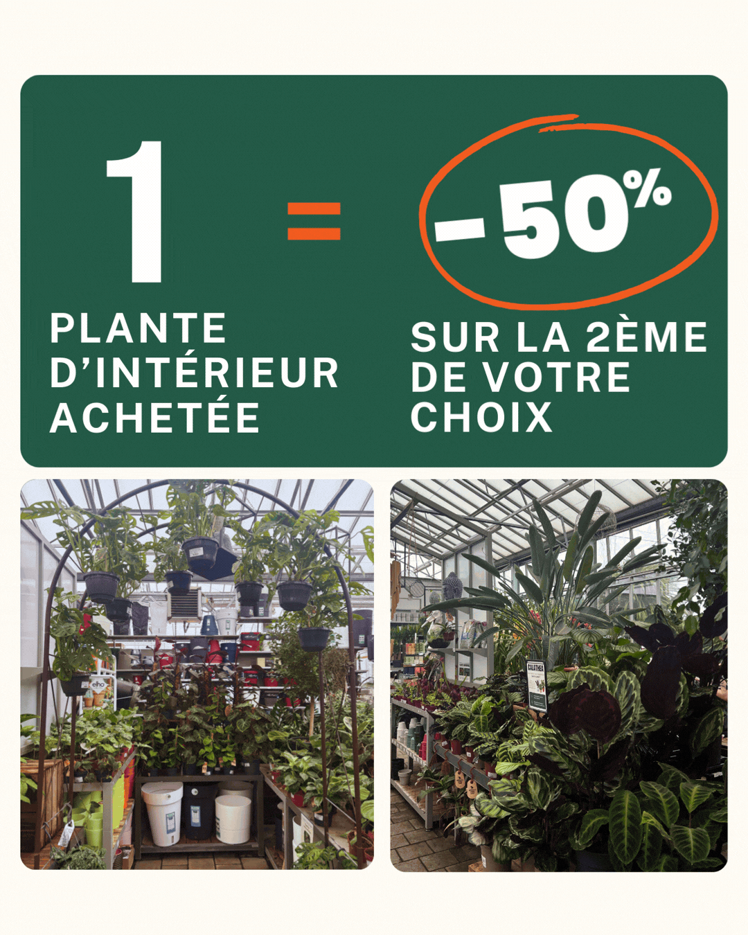 foire aux plantes d'intérieur